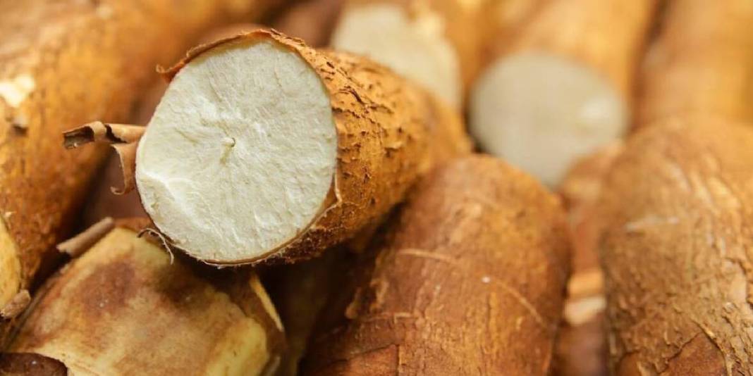 Birçok ülke ekmek yerine bunu yiyor! Hem daha sağlıklı hem lezzetli: Yiyen doktor yüzü görmüyor 9